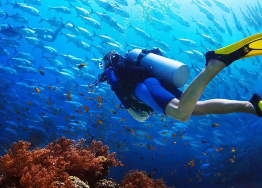 Diving & Snorkeling